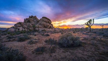 beautiful sunset in joshua tree national park in california, usa
