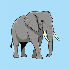Fototapeta premium Elephant Standing Full Body - Animal Character Vector Illustration 