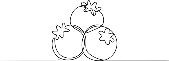 One single line drawing of whole healthy organic blueberries for orchard logo identity. Fresh blue berry fruitage concept for fruit garden icon. one line Icon drawing
