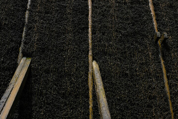 Saline Gradierwerk or saline graduation tower. Cooling tower or saline is a structure made of bundles of twigs of blackthorns, through which the water of salt springs flows. Water evaporates. 