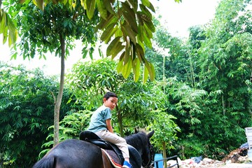 Child enjoying a horse riding experience in a green outdoor park setting. Illustrates leisure activity, nature connection, and joyful childhood moments.