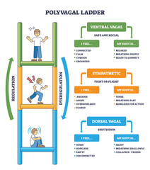 Polyvagal ladder states illustrate regulation shifts, ladder, arrows, and text boxes map ventral vagal, sympathetic, and dorsal vagal with cues for feelings and body, transparent background.