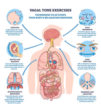 Vagal tone exercise diagram visualizes the vagus nerve pathway with brain, heart and gut, summarizing relaxation techniques and breath, gaze, gargle cues for calming, transparent background.