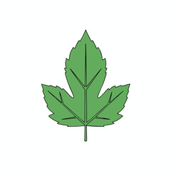 A simple, green, cartoon leaf with black outlines on a white background
