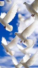 flock. A flock of white doves soaring against a clear blue sky, symbolizing peace and freedom. wildlife magazines, conservation campaigns, designed for nature documentaries and education.
