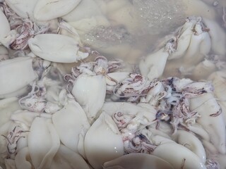 A large quantity of fresh, small cuttlefish or squid displayed in a shallow tray of water, typically seen at a seafood market.