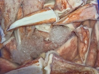 Several large, fresh squid tubes (Giant Squid Cones) are displayed for sale, likely at a seafood market or fishmonger.