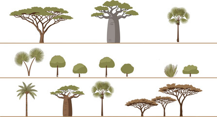 Set of African savanna trees and desert plants featuring baobab acacia and palm trees for nature landscape design isolated vector illustration © Sanjida