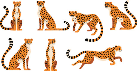 Set of cheetah characters in various poses including sitting standing and running featuring spotted fur patterns for African wildlife design isolated vector illustration © Sanjida
