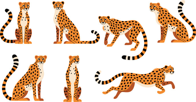 Set of cheetah characters in various poses including sitting standing and running featuring spotted fur patterns for African wildlife design isolated vector illustration
