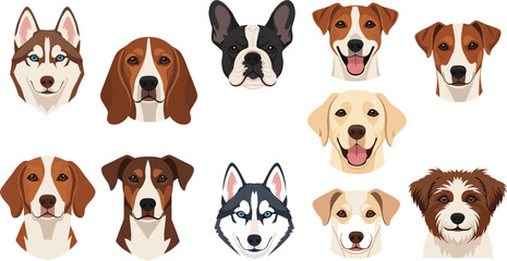 Set of popular dog breed portraits featuring husky beagle french bulldog golden retriever and jack russell terrier isolated vector illustration © Sanjida