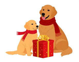 Two golden retrievers, one small and one large, wearing red scarves, sit beside a red gift box