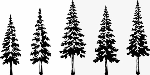 A simple illustration depicting a grouping of five evergreen coniferous trees