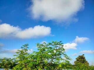 Fototapeta premium Beautiful sunny day with clear blue sky, fluffy clouds, lush green trees, and peaceful water view