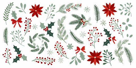 Festive christmas botanical illustrations with poinsettias holly and pine branches