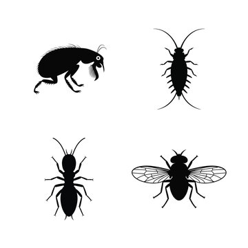 Insect vector silhouette bundle set