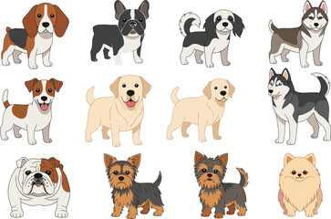 Diverse collection of popular dog breeds including bulldog labrador husky beagle and yorkshire terrier isolated flat vector illustration set © Sanjida