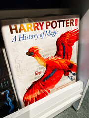 Naklejka premium Harry Potter: A History of Magic by J.K. Rowling