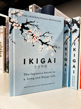 Ikigai: The Japanese secret to a long and happy life by Hector Garcia and Francesc Miralles