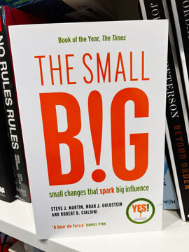 The Small Big by Steve J. Martin, Noah J. Goldstein and Robert B. Cialdini