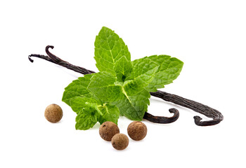 Mint leaves with  vanilla and pepper isolated on white background. Peppermint with spices.