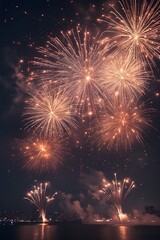 fireworks in the night sky