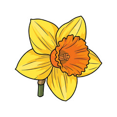Yellow daffodil flower symbolizing renewal, springtime, and natural beauty.
