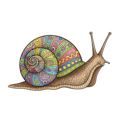 Snail with a colorful shell, representing slow pace and spring charm.
