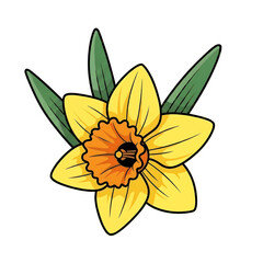Daffodil flower in bloom, symbolizing spring freshness and seasonal joy.