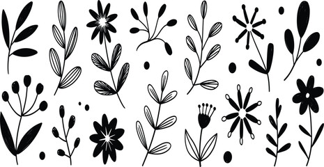 Hand drawn floral and botanical doodle set vector, collection of wild flower sketches, leaves, and branches in black line art © MdMajnur