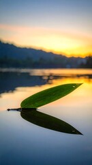 Tranquil sunrise over a lake with a single leaf