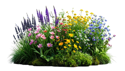 A vibrant, diverse flowerbed showcasing an array of colorful blooms and lush greenery