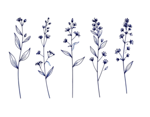 Five blue floral line art sprigs with delicate blooms, on a stark black backdrop