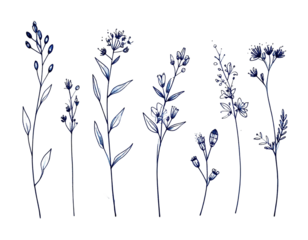 Delicate illustrations of elegant, stylized floral sprigs in a deep, sapphire blue