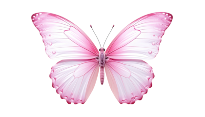 Digitally created, vibrant pink butterfly with delicate wing patterns on a transparent backdrop