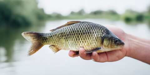 Person is holding a fish in their hand