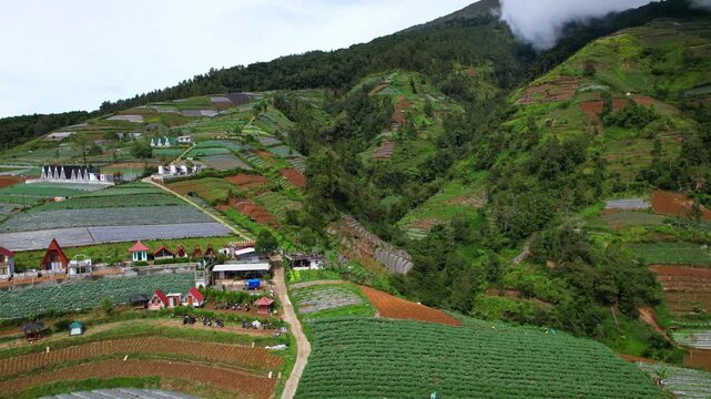 Aerial drone footage of wooden glamping villas, vegetables agricultural fields on the rim of Sumbing volcano, in Bangli touristic spot, in Java island, Indonesia, with forests behind