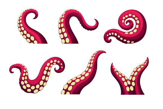 Tentacle Collection with Sucker Detail