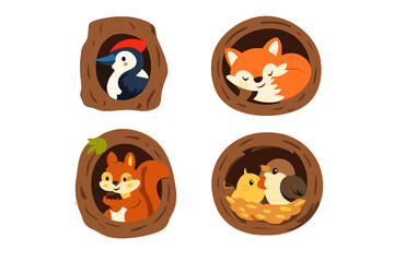 Cute forest animals in tree hollows