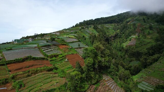 Aerial drone footage Sumbing volcano, in Bangli touristic spot, in Java island, Indonesia, with a close up on the agricultural fields and crops along the rim of the hill