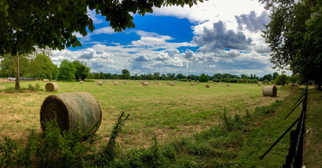 Harvest Time © Tim