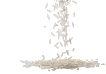 Uncooked, polished white long-grain rice kernels falling dynamically, sharp and blurred, against a transparent studio background. Concept of culinary preparation and staple food