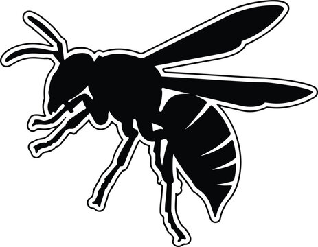 Silhouette flying hornet insect side view detailed monochrome outline vector illustration