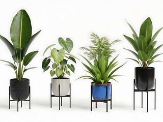 Four Potted Plants in Different Containers on Stands indoor plants green leaves plant containers