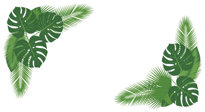 Decorative frame corners made from lush green tropical leaves including monstera and palm fronds perfect for summer and jungle themed designs.