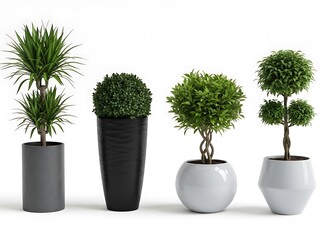 Four Potted Plants in Gray and White Planters indoor plants gray planters green foliage