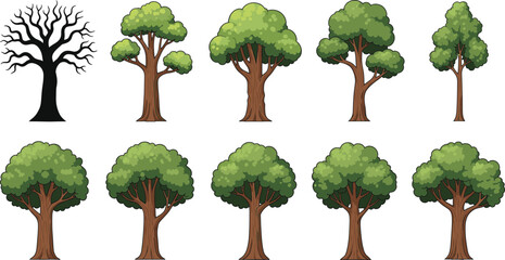 Tree growth stages vector illustration set showing leafless and green leafy trees isolated on white background for nature landscape forest and environmental design