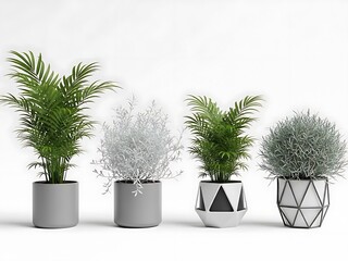 Four Potted Plants in Modern Planters on White Background indoor plants gray planters