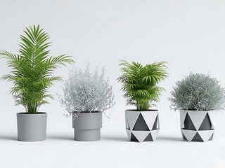 Four Potted Plants with Different Leaf Types and Geometric Planters on White Background