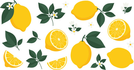 Lemon fruit with leaves, flowers, wedges, citrus botanical elements, juicy yellow texture, summer freshness - flat vector illustrationLemon fruit with leaves, flowers, © MdAzmol